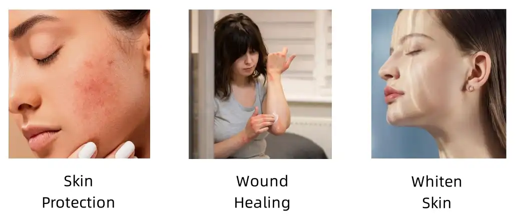 Functions of Shikonin Powder Functions of Shikonin Powder