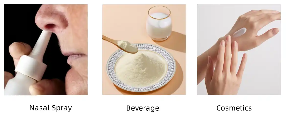 Application of Shikonin Powder Application of Shikonin Powder