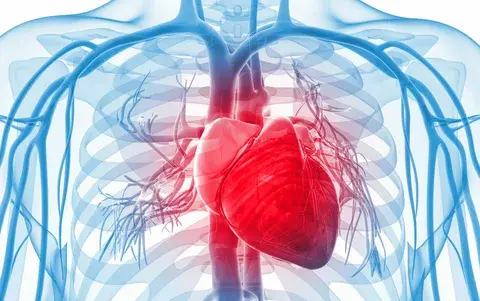 Cardiovascular Health Cardiovascular Health
