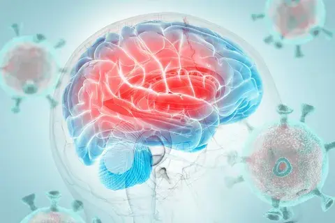 Neurological Health Neurological Health