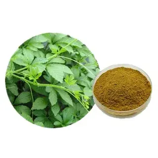 Gypenosides Gypenosides