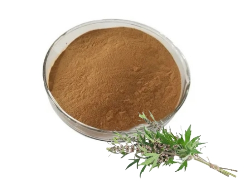 Motherwort Herb Extract Motherwort Herb Extract