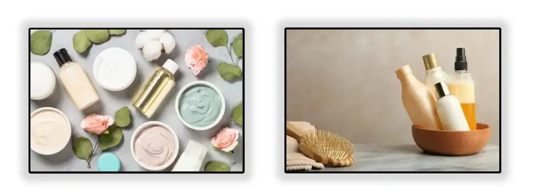 Application of Motherwort extract Application of Motherwort extract