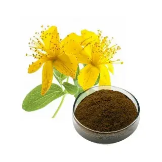 St John's Wort Extract Powder St John's Wort Extract Powder