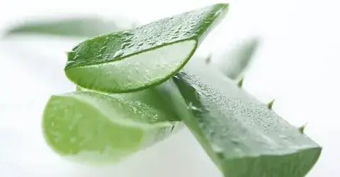 Aloe Emodin for skin Aloe Emodin for skin