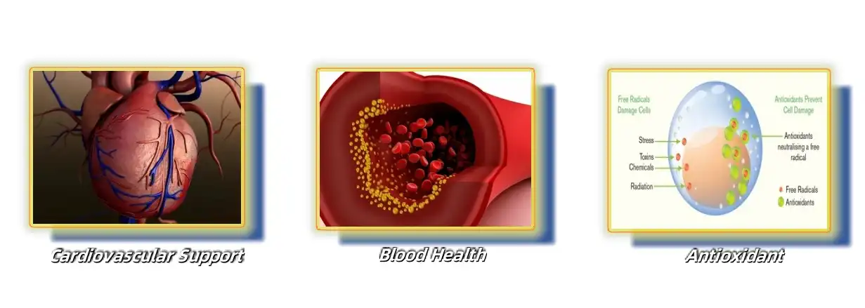 Function of Hawthorn leaf extract Function of Hawthorn leaf extract