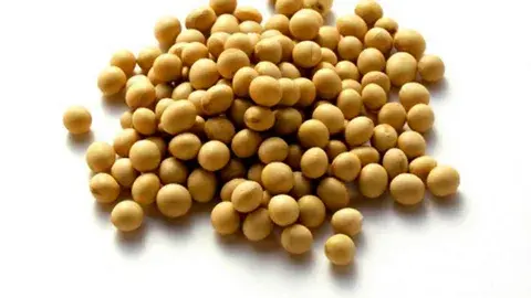 Soy Isoflavone Soy Isoflavone