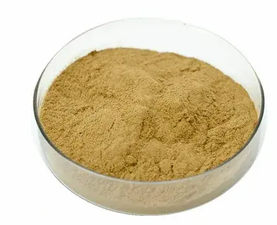 Cnidium Monnieri Extract Cnidium Monnieri Extract