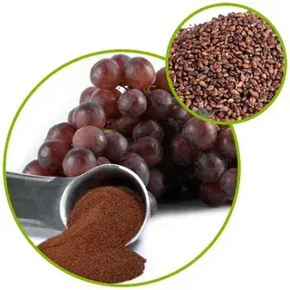 Grape Seed Extract Powder Grape Seed Extract Powder