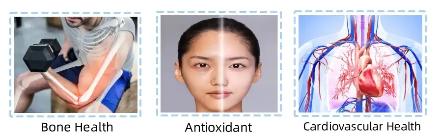 function of genistein powder function of genistein powder