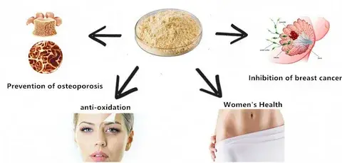 function of genistein powder
