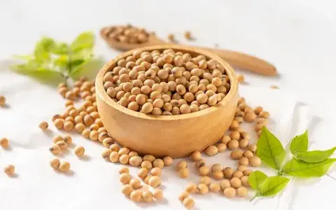 Soy Isoflavones Extract Soy Isoflavones Extract