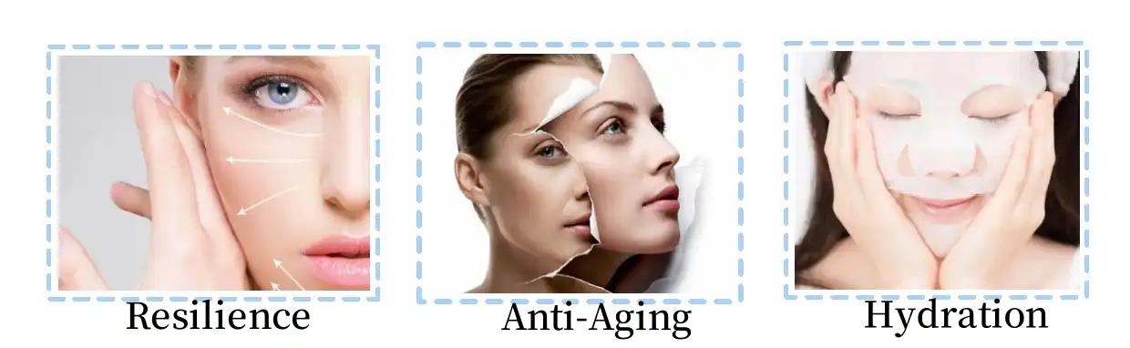 Function of Pro-Xylane Function of Pro-Xylane