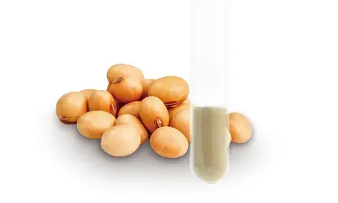 Soy isoflavone Soy isoflavone