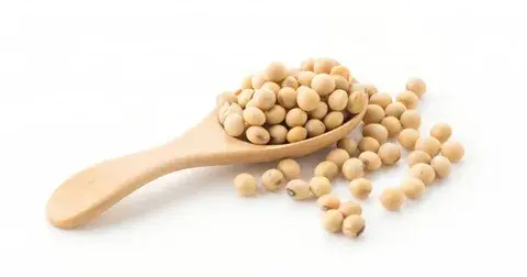 Soy Isoflavone Soy Isoflavone