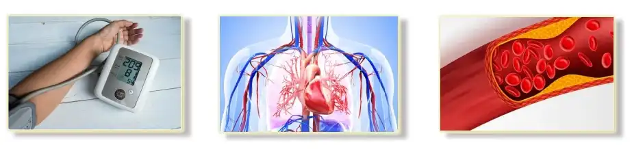 Soy Isoflavones Extract Soy Isoflavones Extract