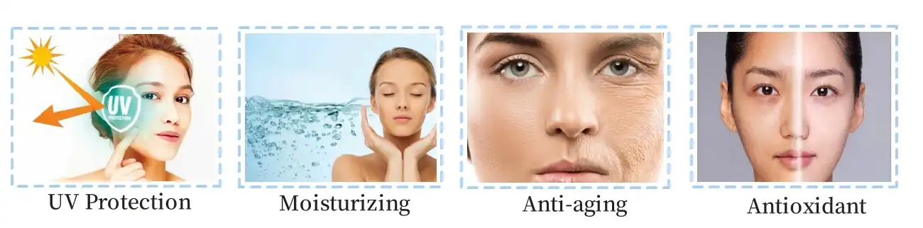 AA2G Function AA2G Function