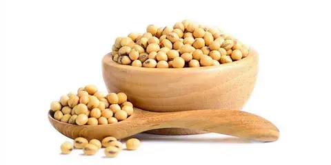 Soy Isoflavones Extract Soy Isoflavones Extract