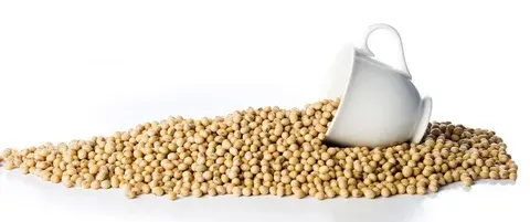 Soy Isoflavones Extract Soy Isoflavones Extract
