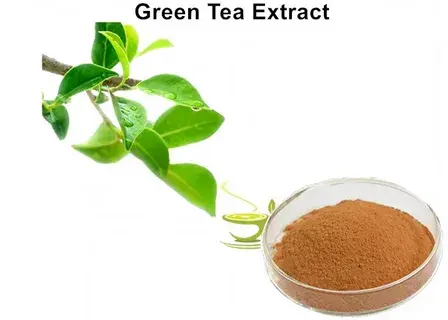 natural tea polyphenols natural tea polyphenols