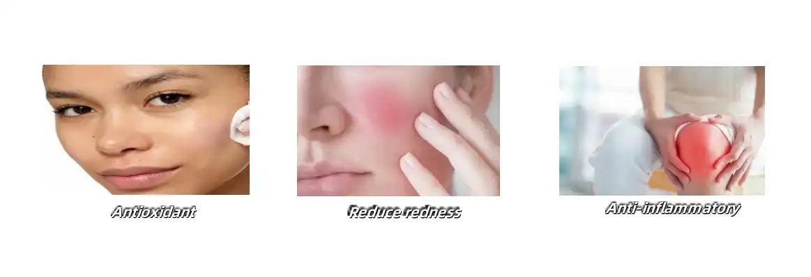 coleus forskohlii extract powder coleus forskohlii extract powder