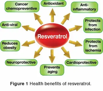 pure resveratrol powder pure resveratrol powder