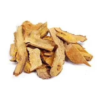 Polygonum cuspidatum extract Polygonum cuspidatum extract