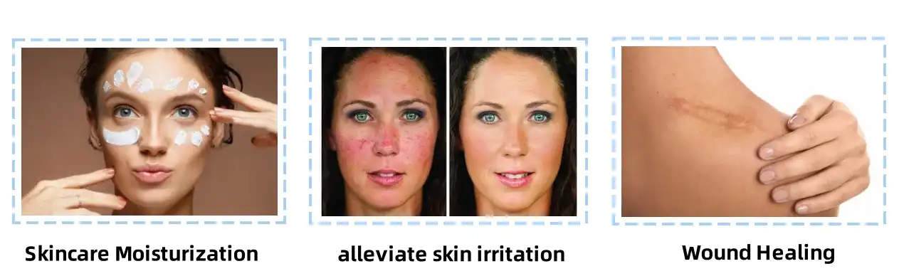 Freeze Dried Aloe Vera Gel Powder Freeze Dried Aloe Vera Gel Powder