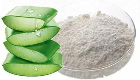 Aloe ferox Miller Aloe ferox Miller