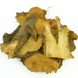 resveratrol powder resveratrol powder