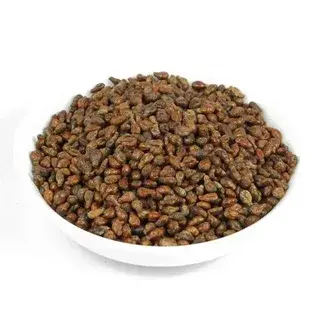 Grape Seed Extract Powder Grape Seed Extract Powder