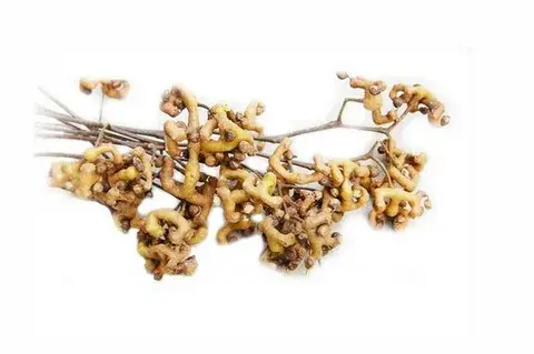 Hovenia dulcis extract Hovenia dulcis extract