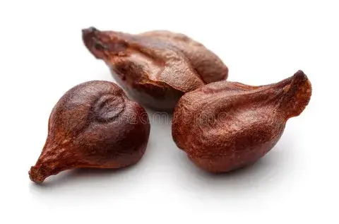 Grape Seed Extract Powder Grape Seed Extract Powder