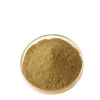 St John's Wort Extract Powder St John's Wort Extract Powder