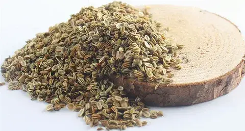 Cnidium Monnieri Extract Cnidium Monnieri Extract