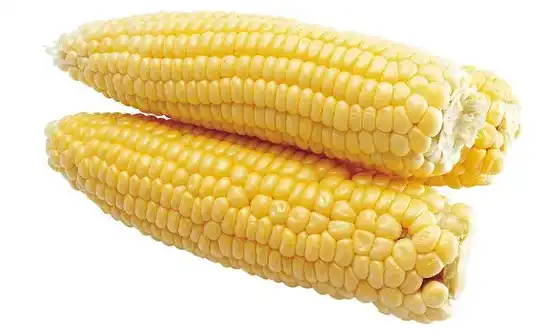 blog-544-336 blog-544-336