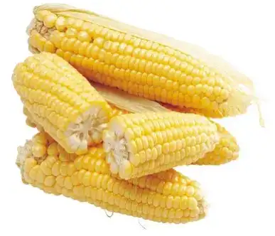 blog-387-332 blog-387-332