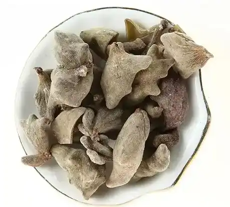 blog-459-412 blog-459-412