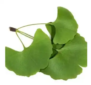 blog-384-360 blog-384-360