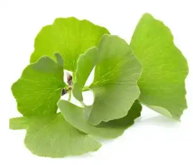 blog-394-337 blog-394-337