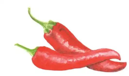 blog-531-315 blog-531-315