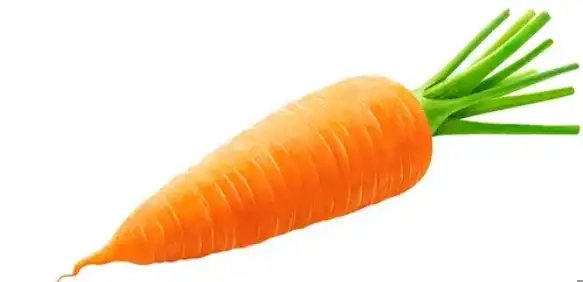 blog-583-282 blog-583-282