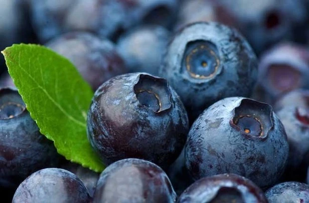 blueberry
