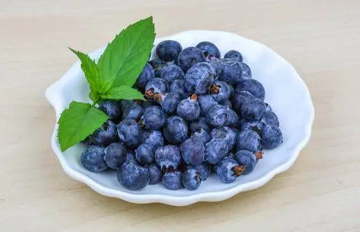 blueberry blueberry