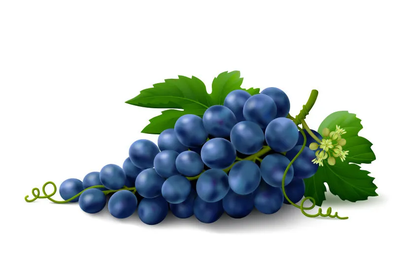 grape