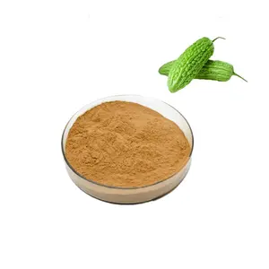 Bitter Melon Powder Bitter Melon Powder