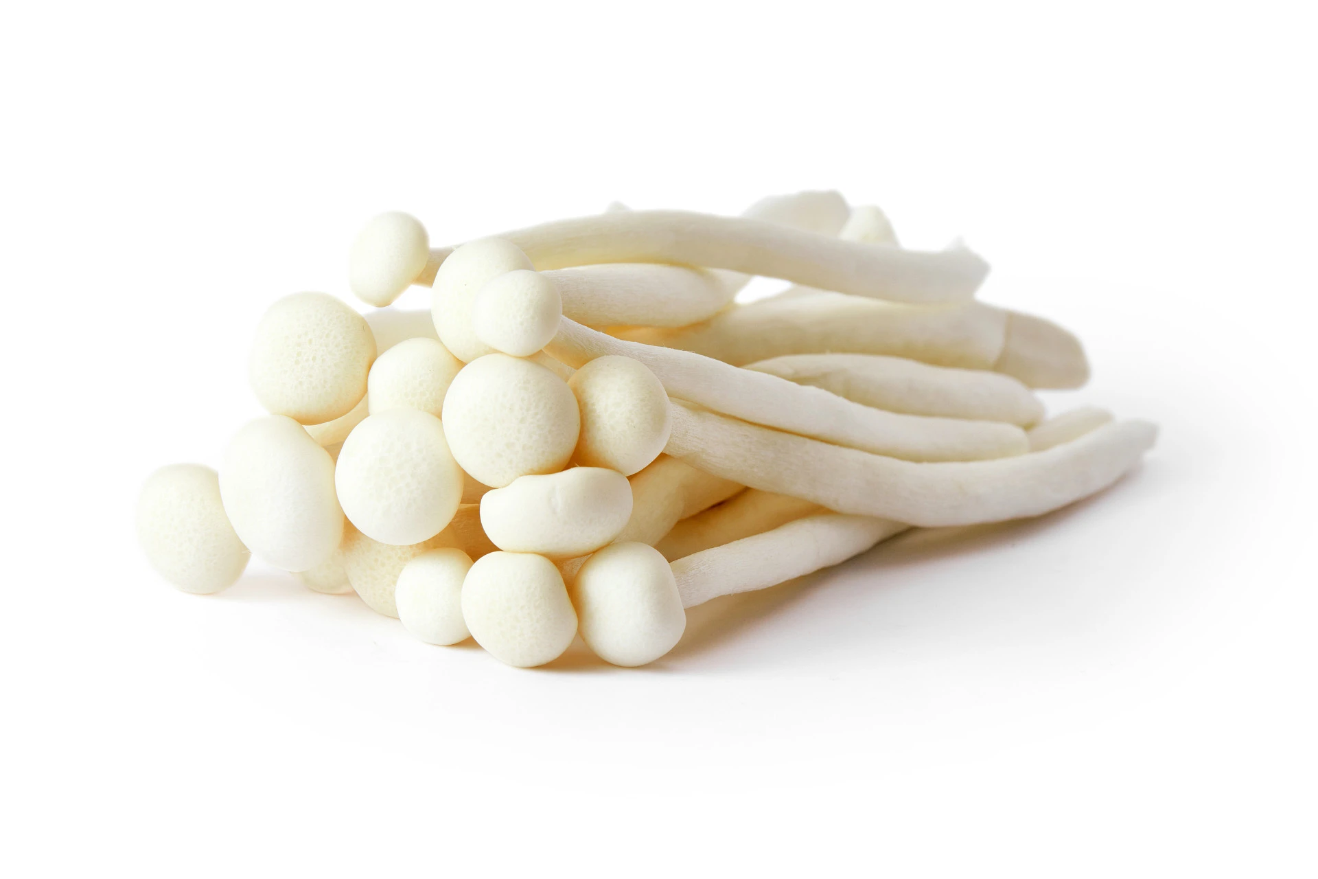 Ergothioneine Ergothioneine