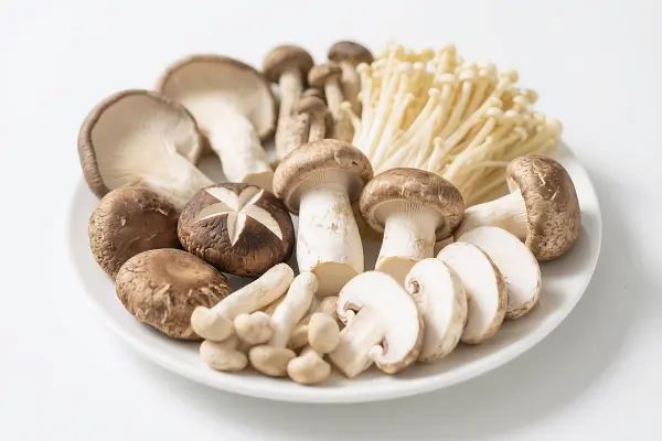 Ergothioneine Ergothioneine