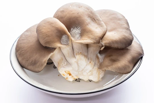 Ergothioneine Ergothioneine