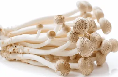 Ergothioneine Ergothioneine